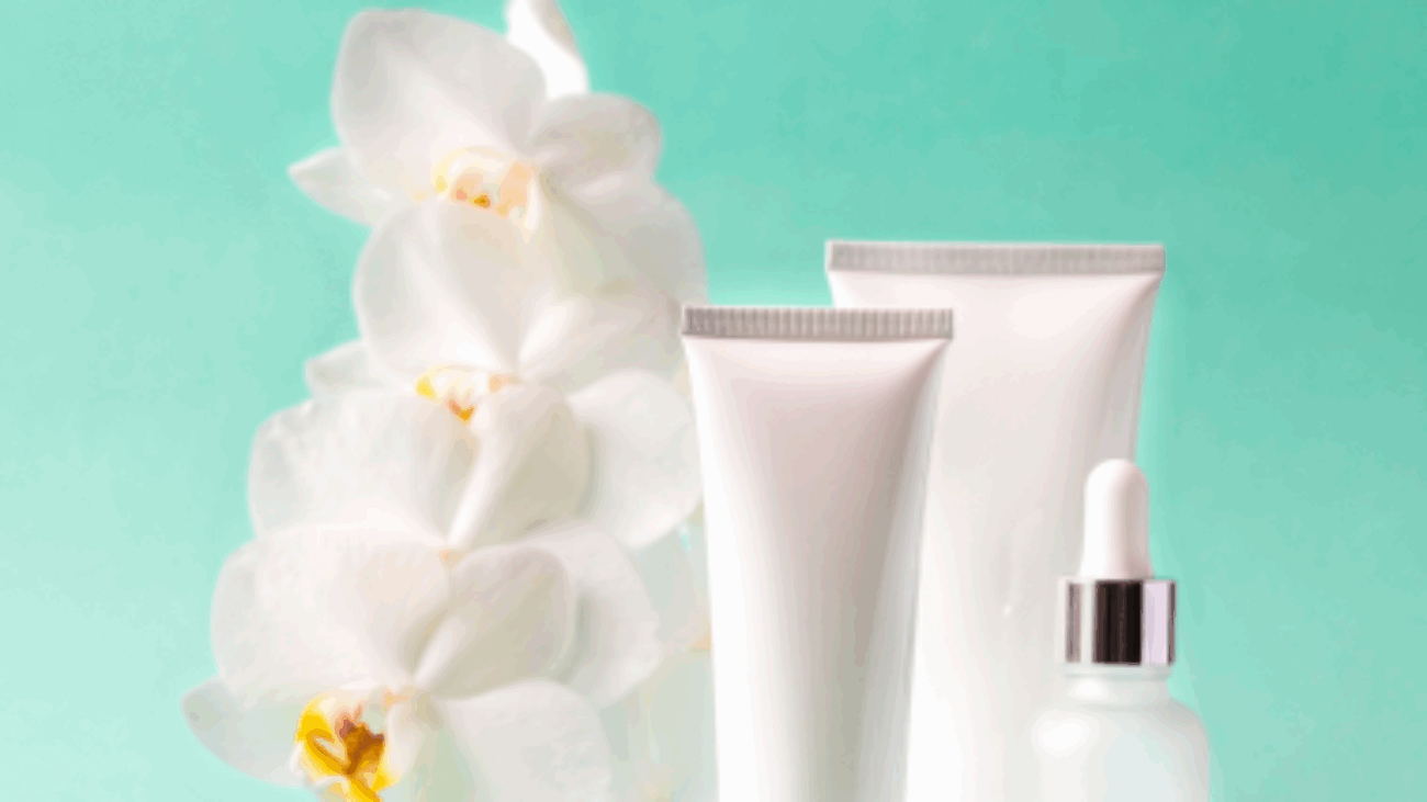 dc0008b5-2b7b-4fdd-a002-a69d2281f634