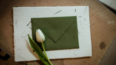 seed paper rigid boxes